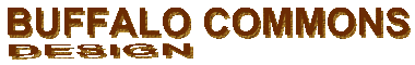 Buffalo Commons Design